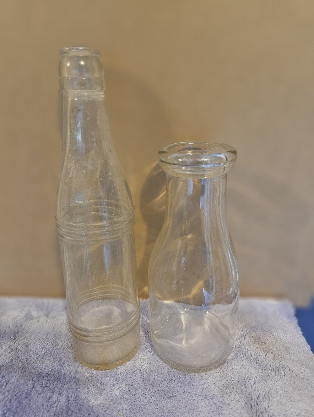 Clear Glass Decorative Bottle Vase - Clear
